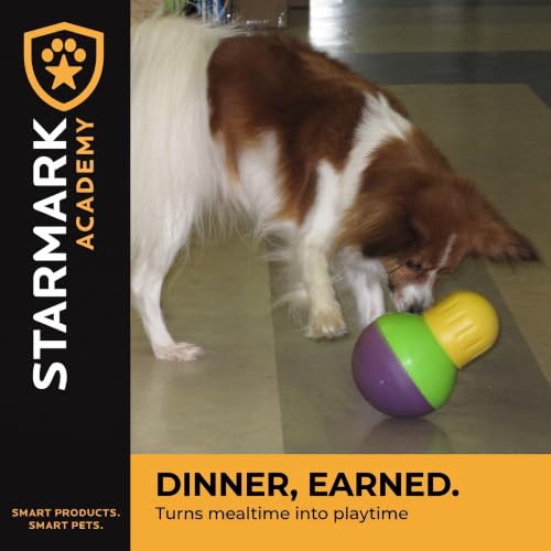 Starmark Pet Toy in Small, Green, purple, and yellow