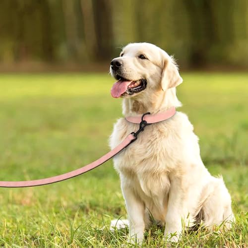 Didog Animal Collar in L: Fit Neck 14-18"(22-44 lbs), Pink Set
