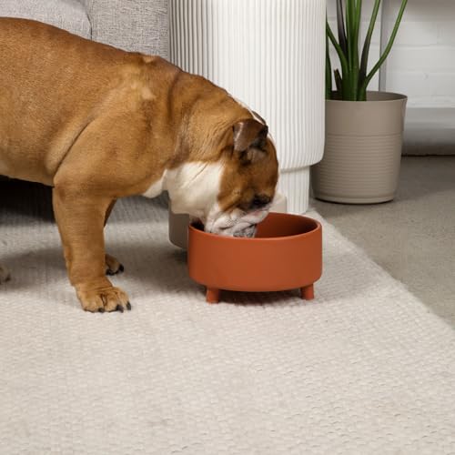 Waggo Pet Feeder in Medium, Olive