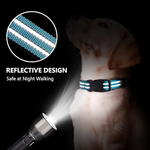 Hikiko Animal Collar in Small, Light Blue