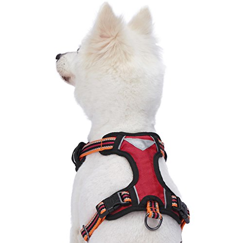 Blueberry Pet Animal Harness in Large, Blue-gray and Olive