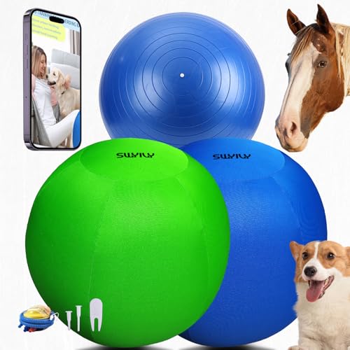 SWYIVY Recreation Ball in 30", Blue