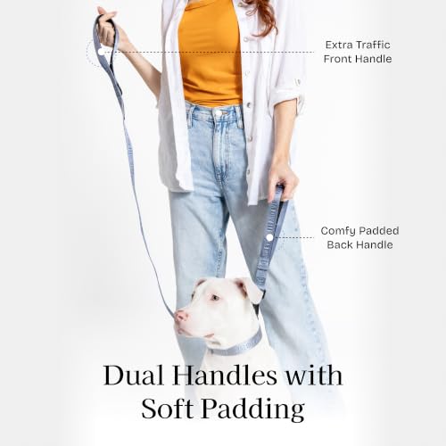 Fei and Eve Leash in 4FT, Dusk Blue