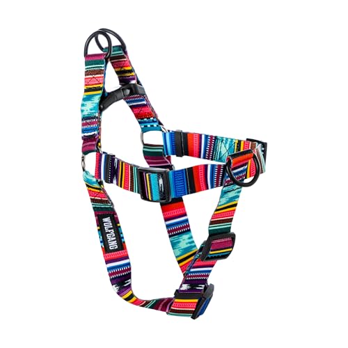 Wolfgang Man & Beast Animal Harness in Small (5/8 Inch x 12-18 Inch), Quetzal Print