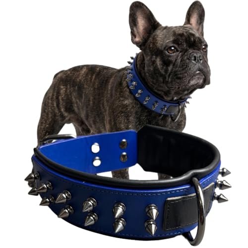 Molteriqo Animal Collar in M-neck 33-41cm, Blue