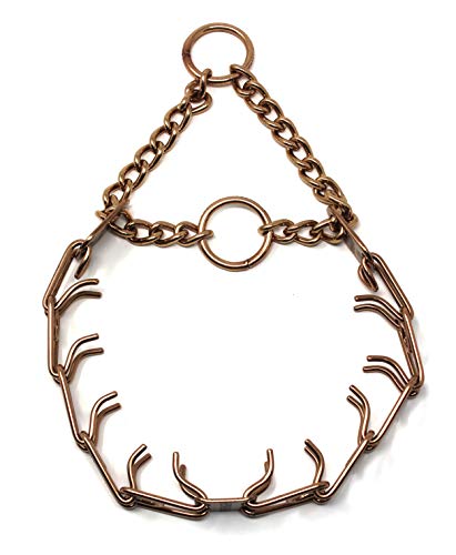 Herm Sprenger Animal Collar in 16in (41cm) x 2.25mm, Gold