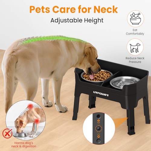 URPOWER Pet Feeder in Large, Black