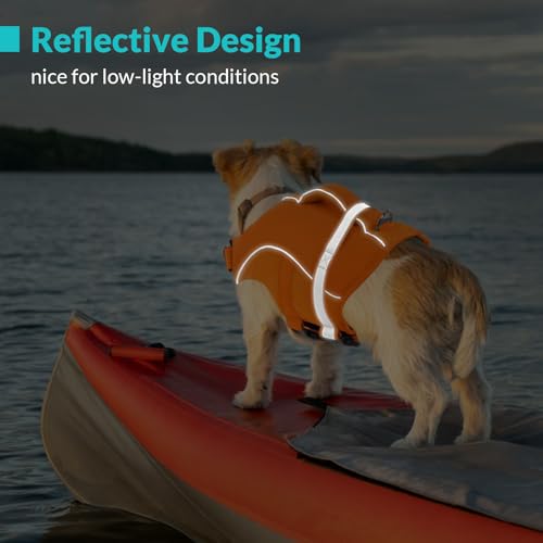 Queenmore Pet Apparel in X-Small, Orange
