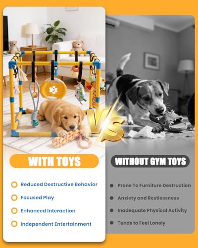 Grevigily Pet Toy in 23.6x15.7x15.7inch, Yellow + Blue