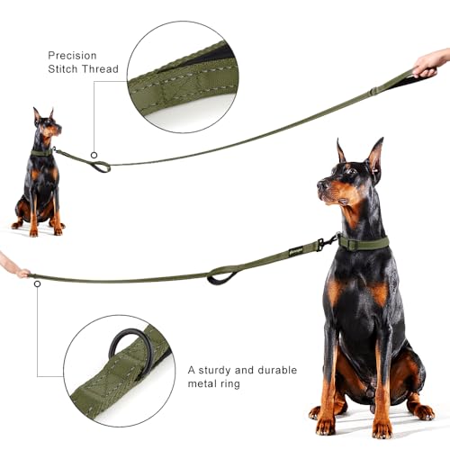 PLUTUS PET Leash in 4 FT, Ranger Green