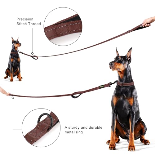 PLUTUS PET Leash in 4 FT, Chocolate