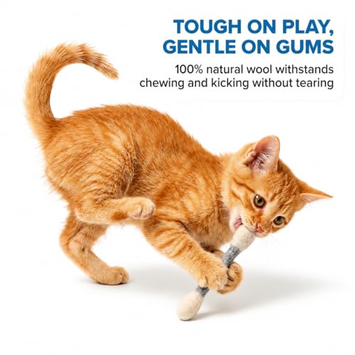 Glaciart One Pet Toy in Mini, Grey Swabs