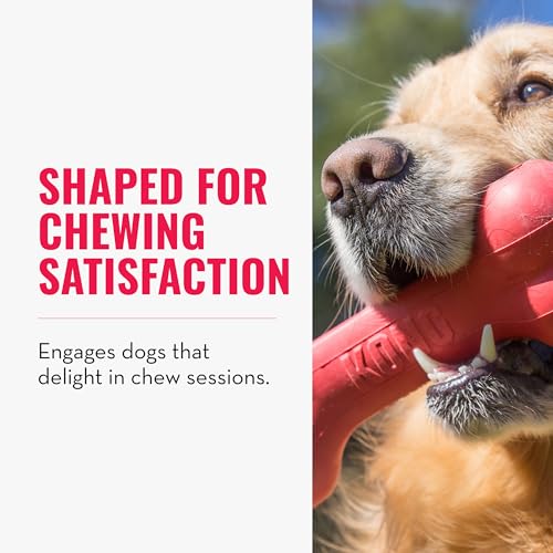 KONG Pet Toy in Medium (Pack of 2), Red