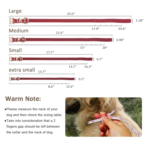 Guiding Star Leash in X-Small, Red