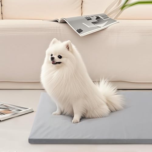Liliowons Pet Bed Mat in 30"L x 19"W, Gray