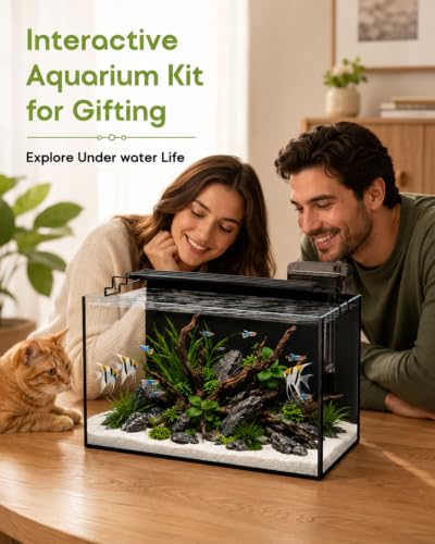 minilake Vivarium in 10 Gallon, Black