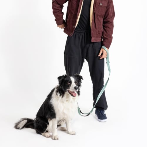 Fei and Eve Leash in 4FT, Glacier Green