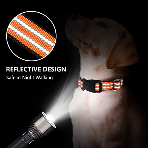 Hikiko Animal Collar in Small, Orange
