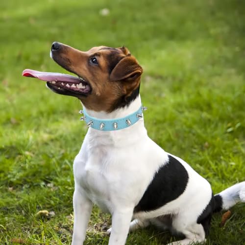 WeimoMonkey Animal Collar in X-Small(Neck7.5-10"), 40 Blue