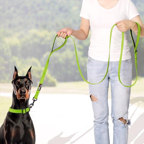 PLUTUS PET Leash in 4 FT, Green