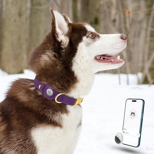 BUDKAS Animal Collar in XS, 9"-12" Neck Fit, Purple