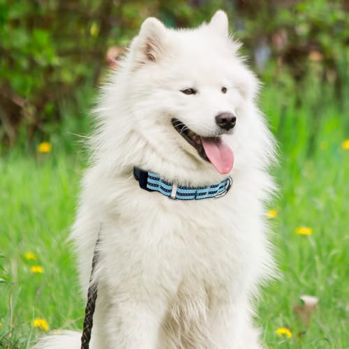 Hikiko Animal Collar in Small, Sky Blue