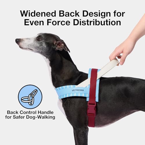 VETRESKA Animal Harness in XS(Chest: 16.9"-22"), Mist & Merlot