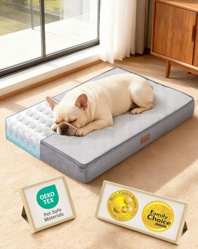 OhGeni Pet Bed Mat in 30" x 20" x 3" (For Sprawling), 01-Gray