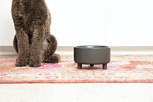 Waggo Pet Feeder in Small, Black