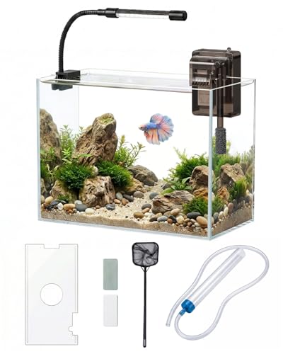 minilake Vivarium in 3 Gallon, Transparent