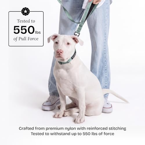 Fei and Eve Leash in 4FT, Glacier Green