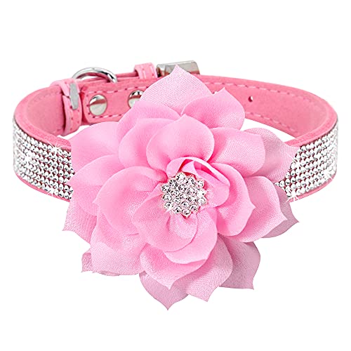PET ARTIST Animal Collar in S:Neck 10-12"(7-15 lbs), Black