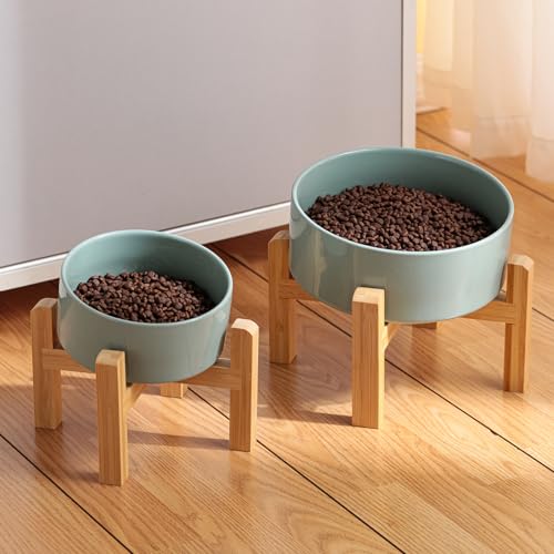 DJJJOOYS Pet Feeder in Slanted Small Dog Bowl, Light Green