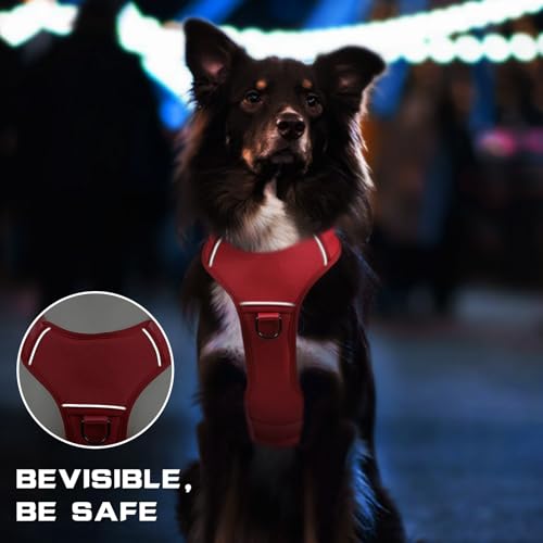 Jane Shine Animal Harness in S(Neck:14-18",Chest:17-24"), Red