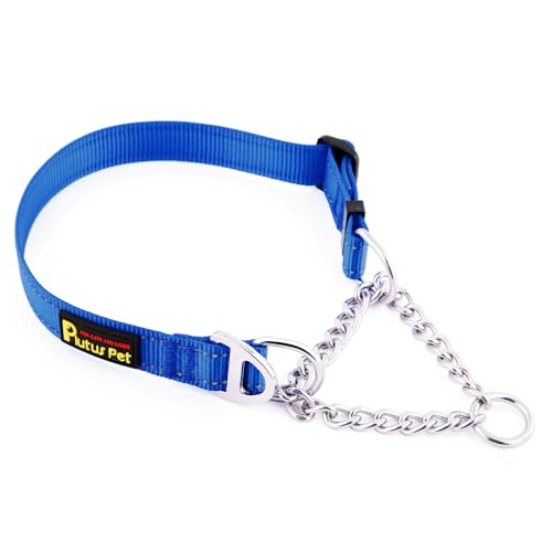 PLUTUS PET Animal Collar in Small, Royal Blue