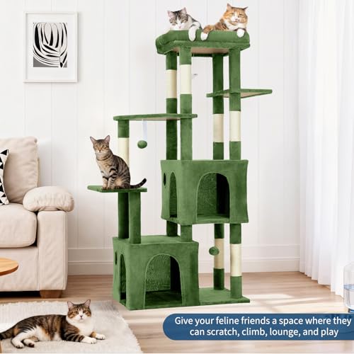 OUTLANE Pet Activity Structure in Green, Green