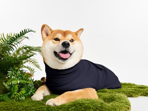 Haloumoning Pet Apparel in X-Small, Navy Blue