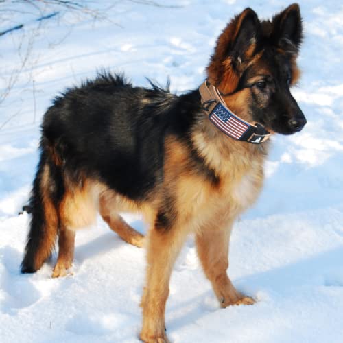 DEZIZEUSK9 Animal Collar in 16-25 INCH, TAN-COBVEL2