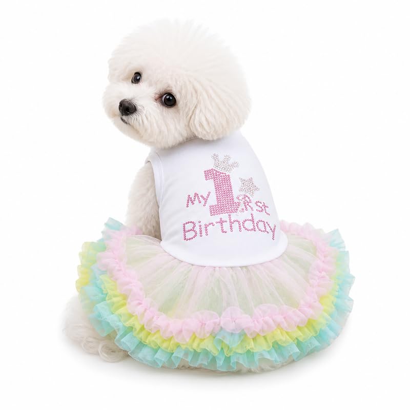 Petitebella Pet Apparel in X-Small, White/Rainbow