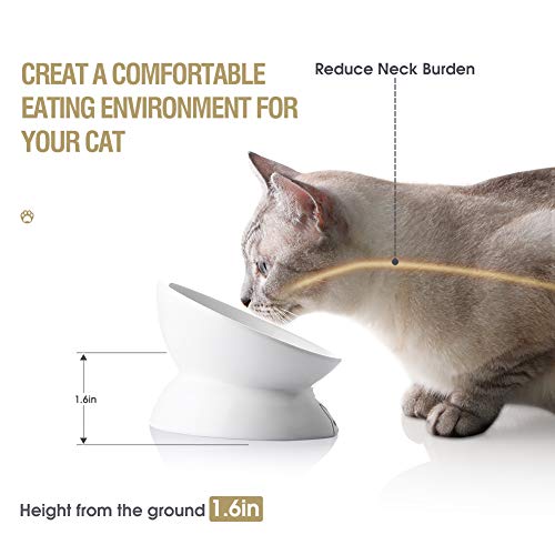 Sweejar Home Pet Feeder in 5 Inch, White