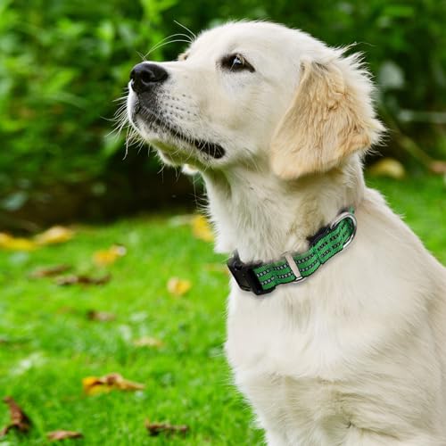 Hikiko Animal Collar in Small, Green