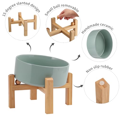 DJJJOOYS Pet Feeder in Slanted Small Dog Bowl, Light Green
