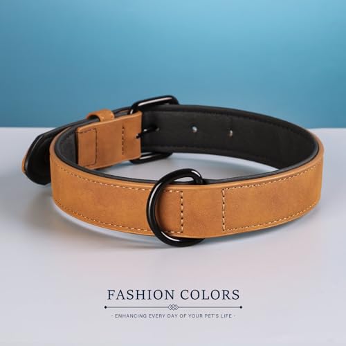 Didog Animal Collar in M: Fit Neck 11-14"(10-20 lbs), Light Brown
