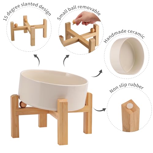 DJJJOOYS Pet Feeder in Slanted Small Dog Bowl, Beige