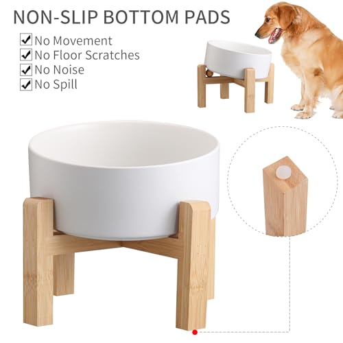 DJJJOOYS Pet Feeder in Slanted Small Dog Bowl, White