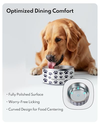 HomeRunPet Pet Feeder in 32oz, Paw Print