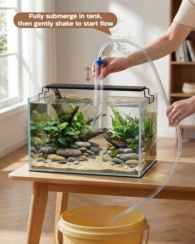 minilake Vivarium in 10 Gallon, Transparent