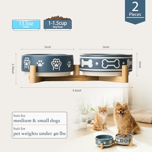Dafuceramic Pet Feeder in S-1.5 Cups, Blue