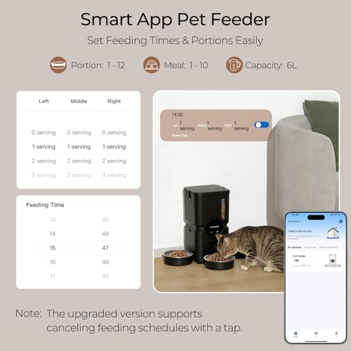 Chloraeon Pet Feeder in Black