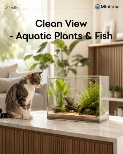 minilake Vivarium in 3 Gallon, Transparent